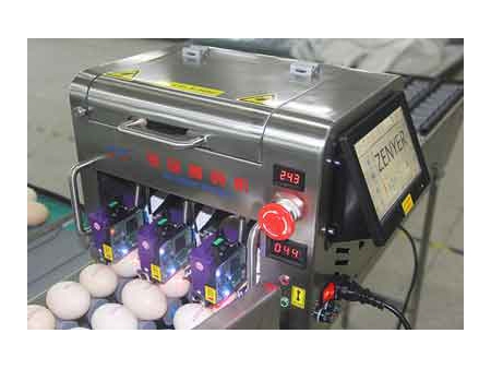 Машина для сортировки яиц 102A (5400 яиц/час)