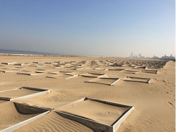Проекты по сдерживанию песка