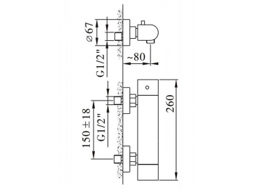 Термостатический смеситель для душа наружного монтажа FB6193C