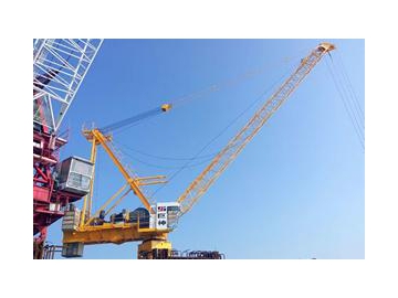 Кран с подъёмной стрелойWQ315