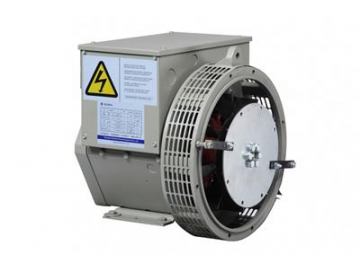 Двухполюсный трехфазный генератор переменного тока 8.1KVA-20KVA GR160