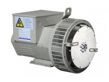 Двухполюсный трехфазный генератор переменного тока 22.5KVA-59.3KVA GR180