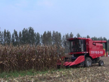 Зерноуборочный комбайн с кукурузной молотилкой