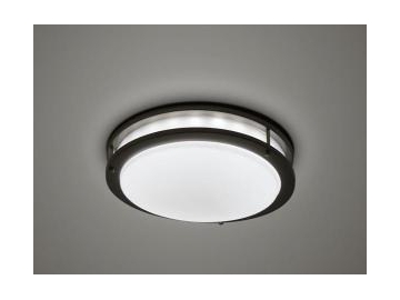Светодиодный светильник для низких потолков SC-H109