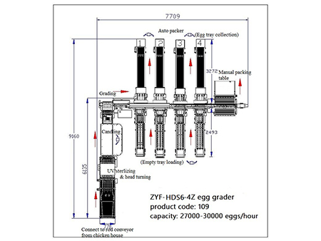 Машина для сортировки яиц 109 (30000 яиц/час)