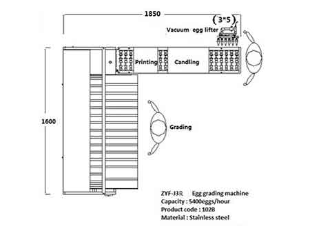 Машина для сортировки яиц 102B (5400 яиц/час)