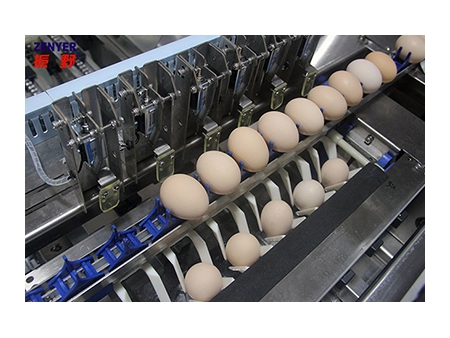 Машина для сортировки яиц 104A (10000 яиц/час)