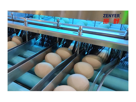 Машина для сортировки яиц 107  (20000 яиц/час)