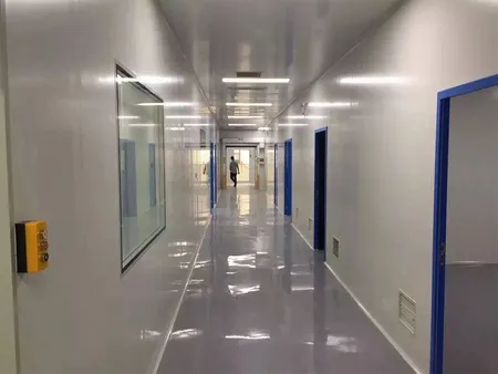 Чистое помещение