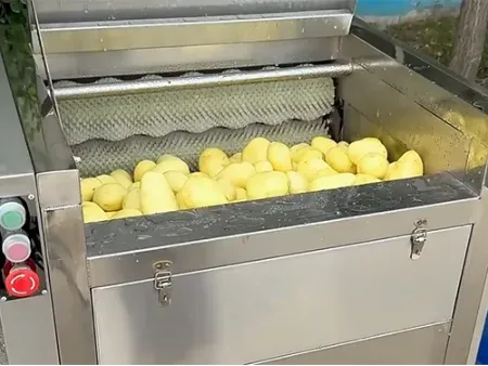 Щеточная очистительная машина для овощей