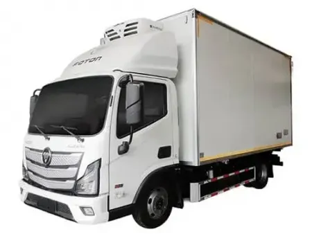 Малотоннажный грузовик на шасси Foton