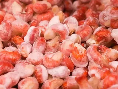 Глазировочные машины для мяса