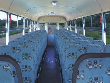 Школьные автобусы классического типа